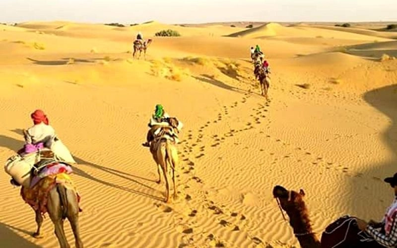 Luxury Seats Urbania Rent for Rajasthan Family Tour – Complete Travel Cost Breakdown
