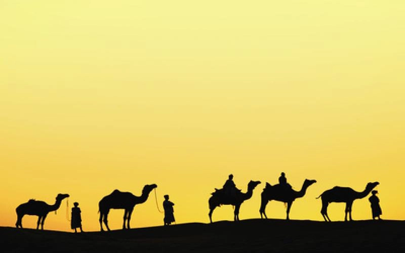 Delhi to Udaipur by Force Urbania | Route and Hire Rates